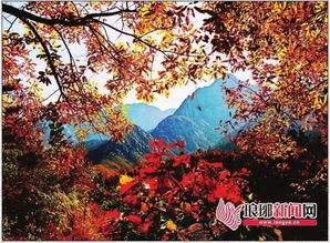 五处赏红叶蕞佳地点