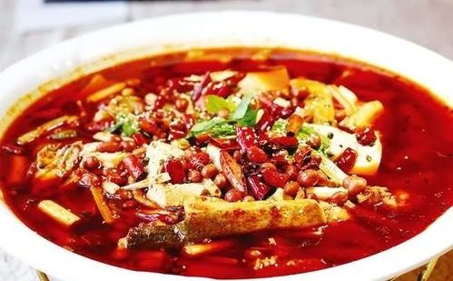 贵鱼色泽艳丽，喜清水
