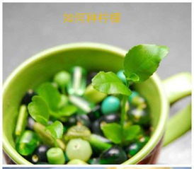 盆栽柠檬种植，如何让果实更丰硕