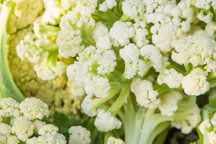 误用农药水浇花，咋办？