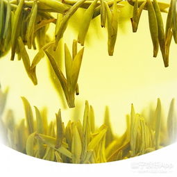 蒙顶黄芽，一斤多少钱