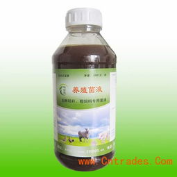发酵泔水菌种选择指南中，枯草芽孢杆菌和酿酒酵母在处理泔水效果上有什么区别？