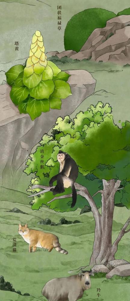 电脑宝宝植物图鉴，治愈系瞬间藏匿何处