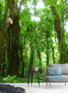 记住这些繁殖小窍门