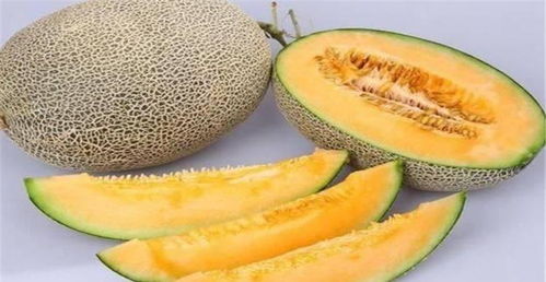 黄瓜象：吃根吃茎， 可恶的家伙