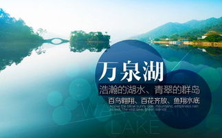 黄金枫养殖：从种植到收获
