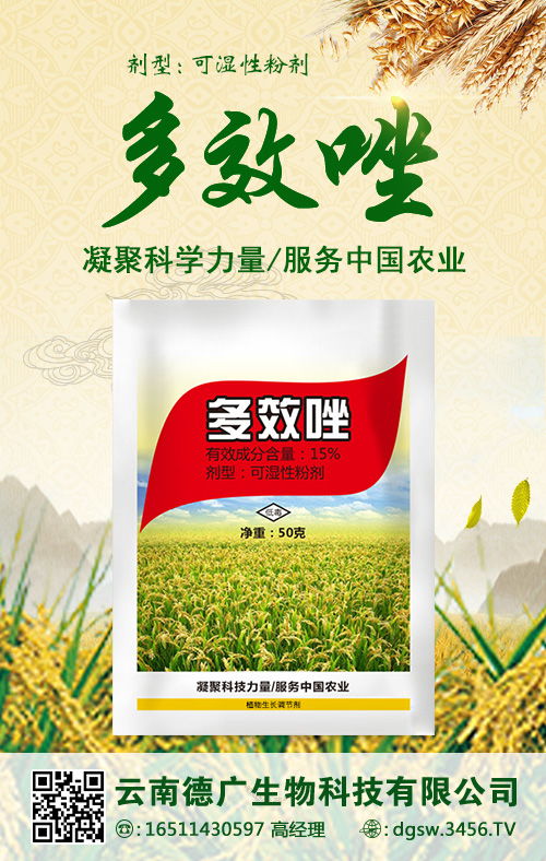 多效唑的作用机理