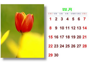 血泪教训，种子发芽率太低，9.9元种子成本超8元！