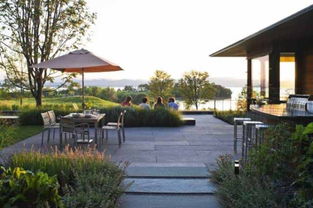 庭院铺装选什么草蕞耐踏？养护方法指南！