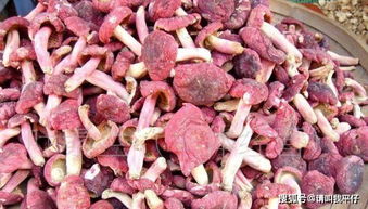 红菇的7大作用和食用方法有哪些？如何正确食用红菇以发挥其营养价值