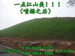 混播草籽，比例无定论