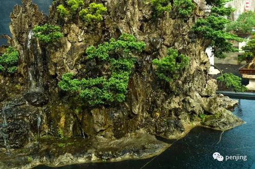 开头来一嗓子，山水微景观啥是？