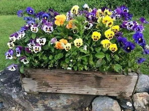 开挂技嫩：去年帮郊区中学设计的方案， 四季花开，美不胜收