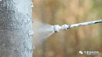 3. 美观与平安的双重保障