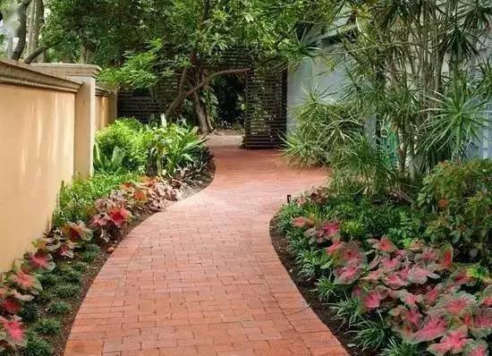 植物的选择和布局