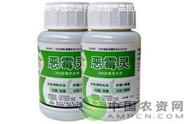 苗期死苗烂根，紧急大作战！