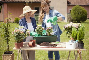 园艺：园丁的艺术， 种植的智慧