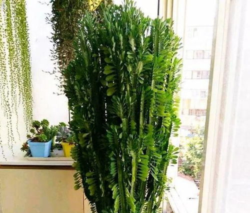 1. 调整摆放位置