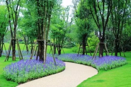 探寻景观设计领域的植物配置艺术大师