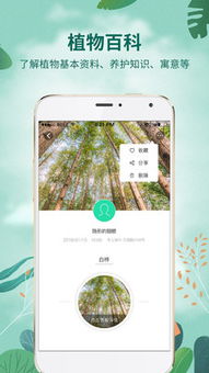 拍照识物，植物名称轻松到手
