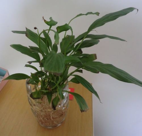 通风不畅，闷出病来