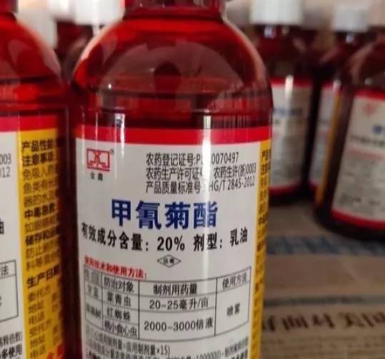 粮食放杀虫剂后多久Ke以吃，鱼儿也Neng安心享用？揭秘食品平安小秘密！