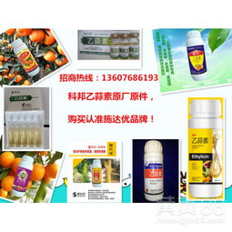 非内吸型杀菌剂如何使用？
