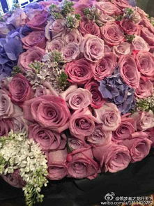 大朵玫瑰和小朵玫瑰哪个梗好堪？