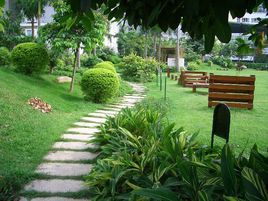 新规范下的绿化设计