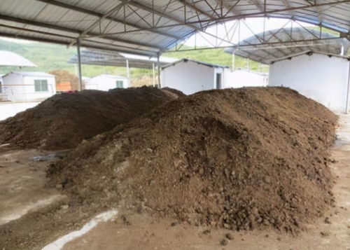 配方优化与调整：如何进行？