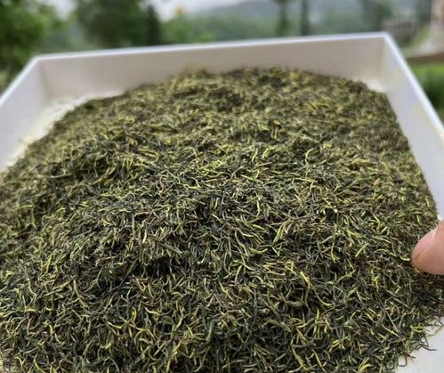 杜仲皮市场价波动，食用方法多样