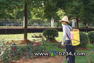 喷洒农药的技巧