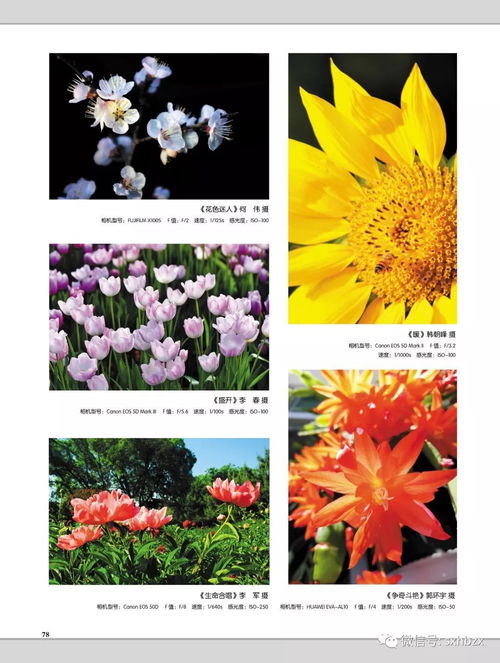 免费APP， 应有尽有