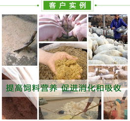 猪添加发酵料喂猪的发酵饲料有哪些优缺点？