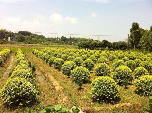 第六步：保护，保护保护保护