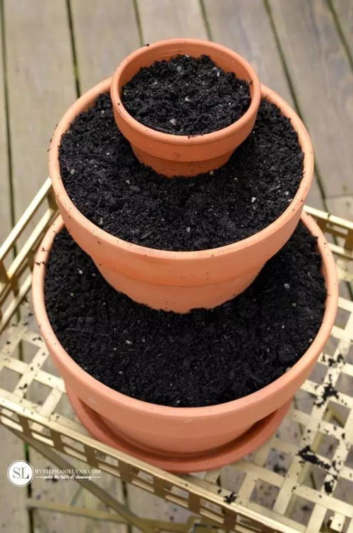 多肉植物的温柔乡