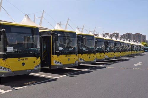 农药厂的交通工具