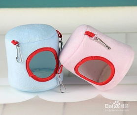 小仓鼠如何度过寒冷的冬季？