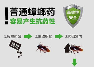 如何除掉蟑螂？