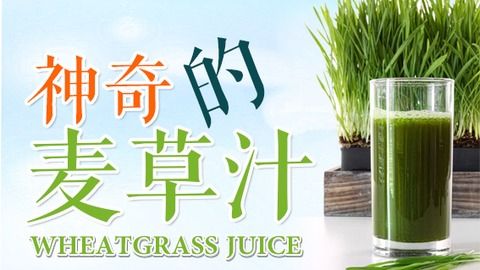 瓯柑功效揭秘，它竟然还有这些神奇作用