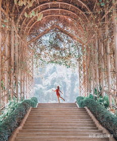 薛城风景区概览