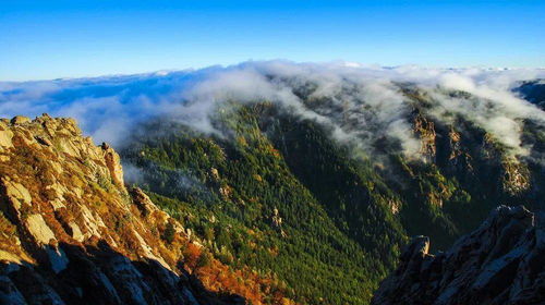 黄土高原绿化难题， 陕西草本树种来解围