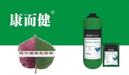 作物关键生长期如何防治病害