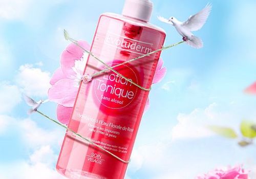 玫瑰花水养：深水养还是浅水养？