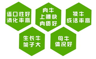 中国饲料第一品牌，你们知道中国最好的十大名牌饲料是哪些吗？