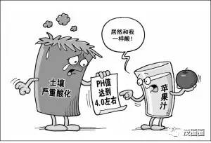 如何将土壤转变为酸性：一种不科学的尝试