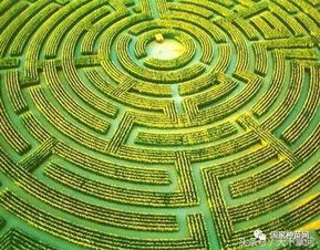 迷宫设计的独特性