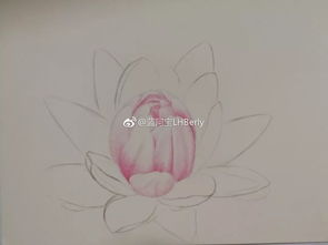 二、 绘画技巧分享