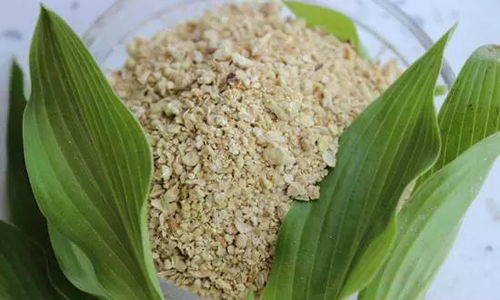 豆粕近期还会继续上涨吗？今日豆粕价格是涨是跌？