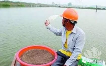 水产饲料品牌中，哪些适合新手养殖户选择？